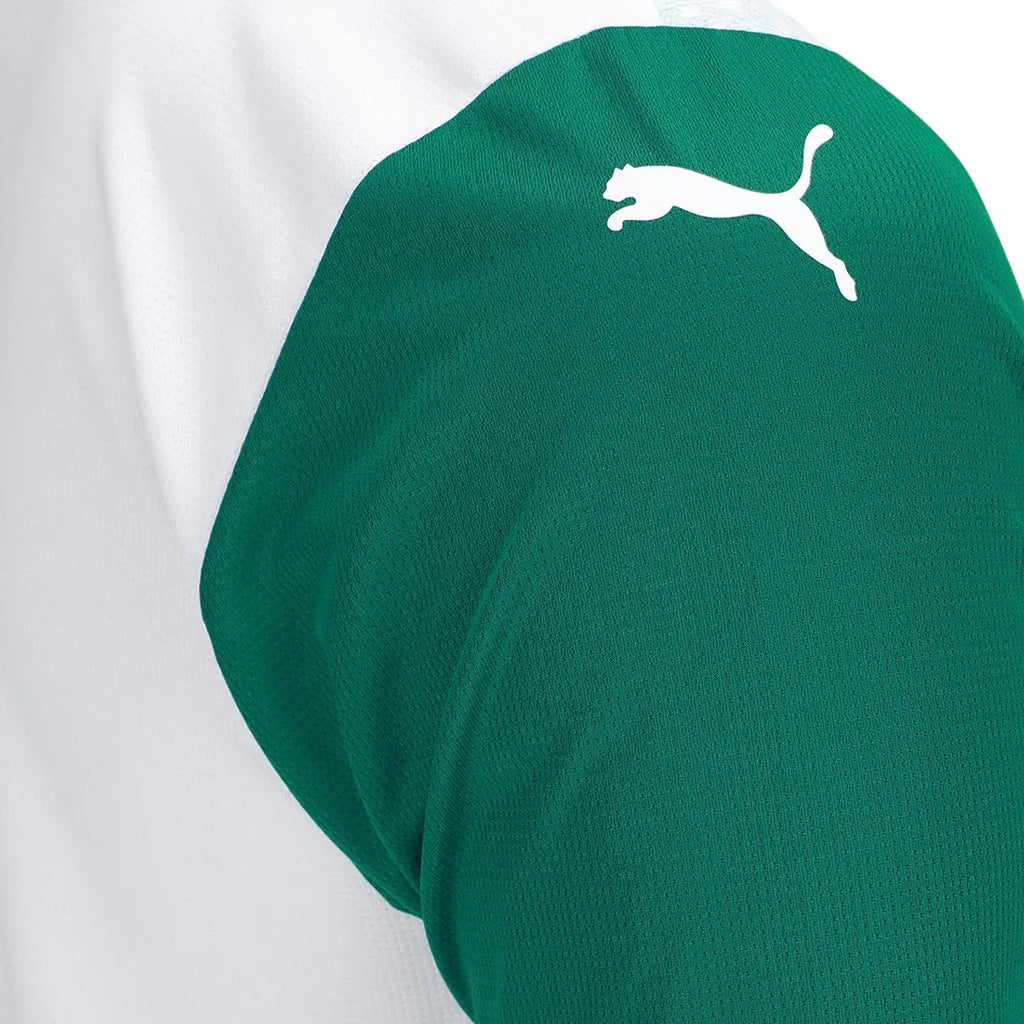 Camisa Palmeiras Away 25/26