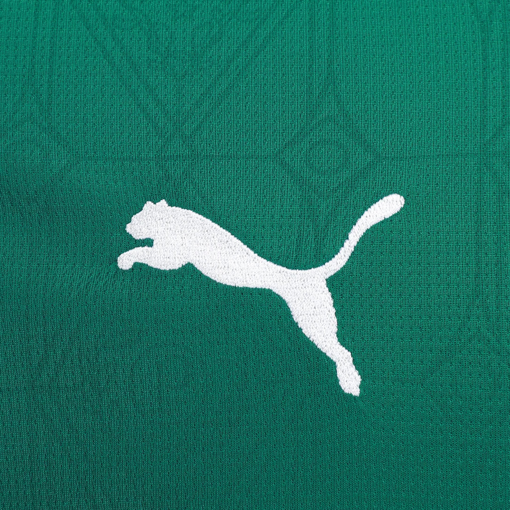Camisa Palmeiras Home 25/26