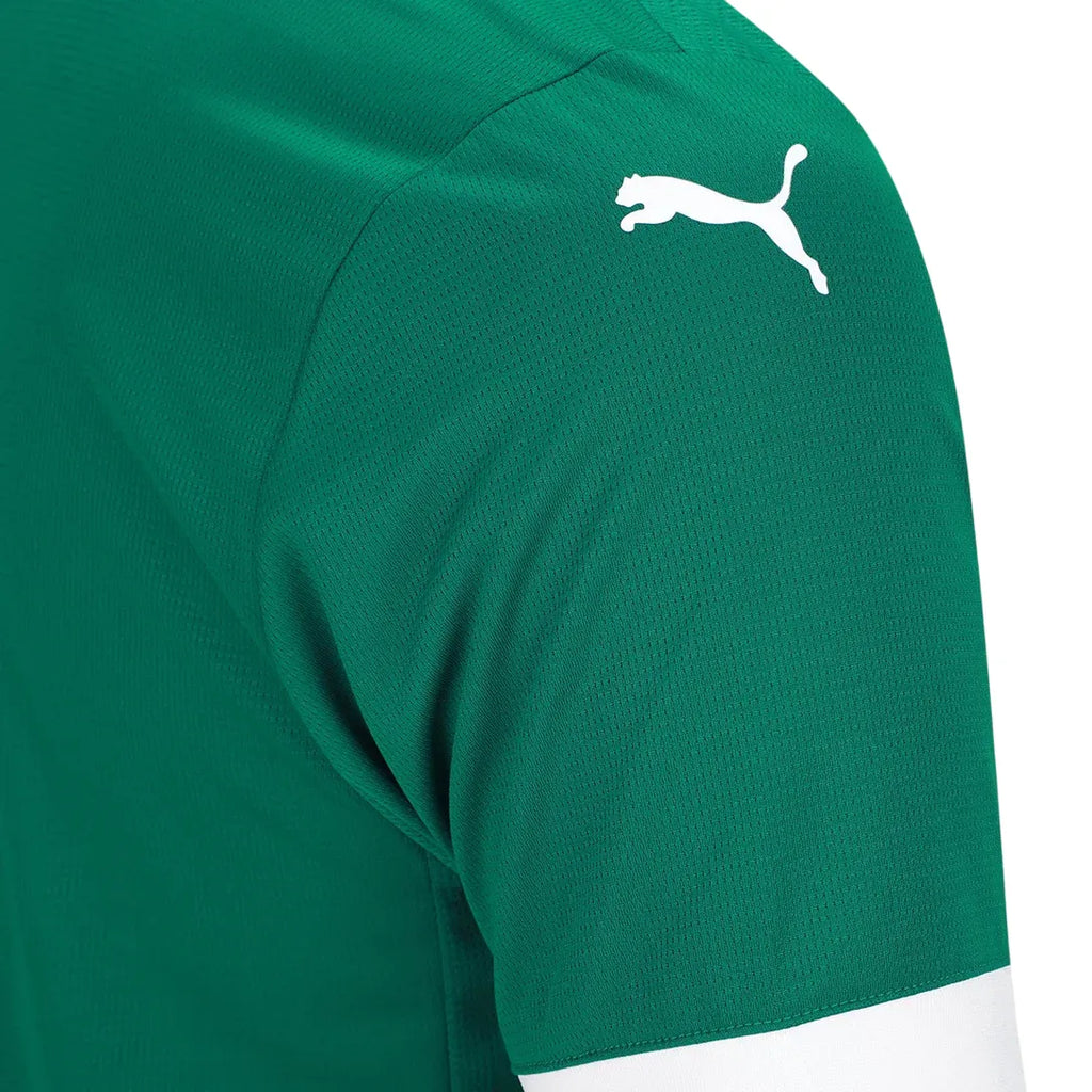 Camisa Palmeiras Home 25/26