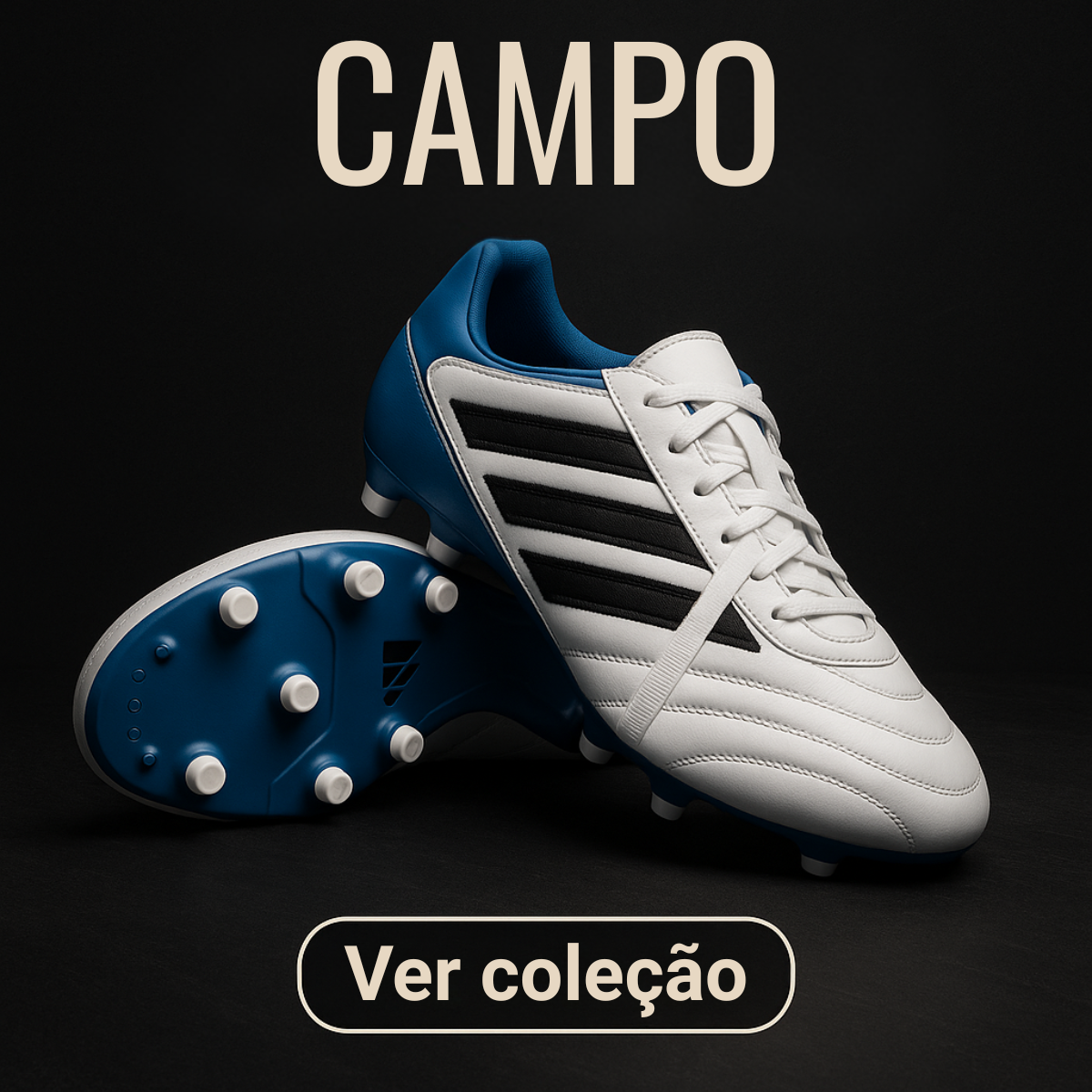 Campo
